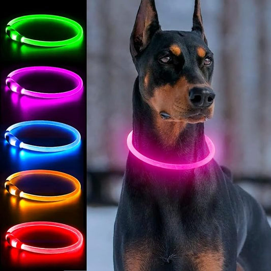 Rechargeable LED Collar 🔥FREE SHIPPING🔥